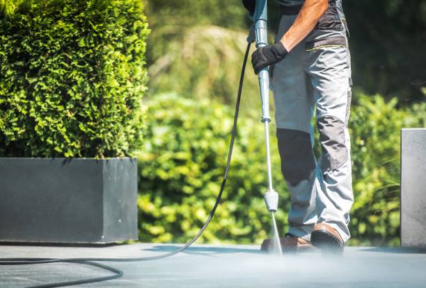 Best Animal Enclosure Cleaning  in Cohasset, MN